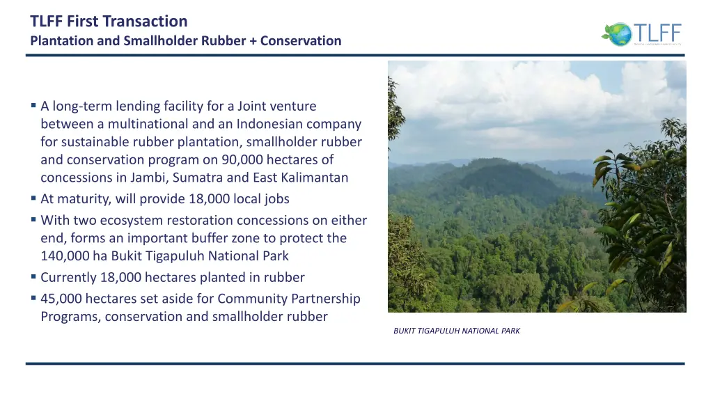 tlff first transaction plantation and smallholder