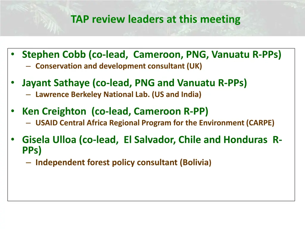tap review leaders at this meeting