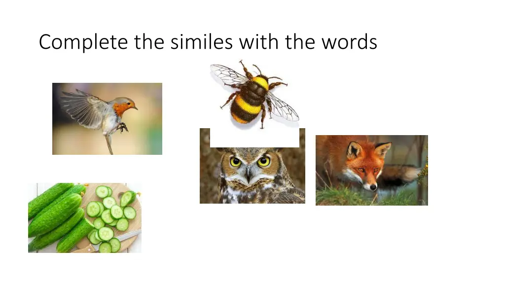 complete the similes with the words