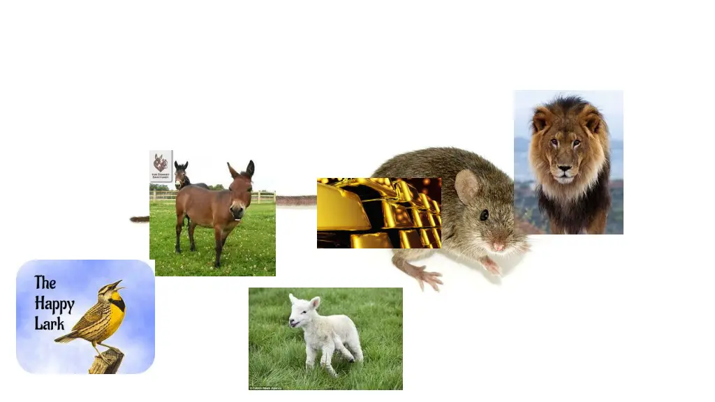 slide11