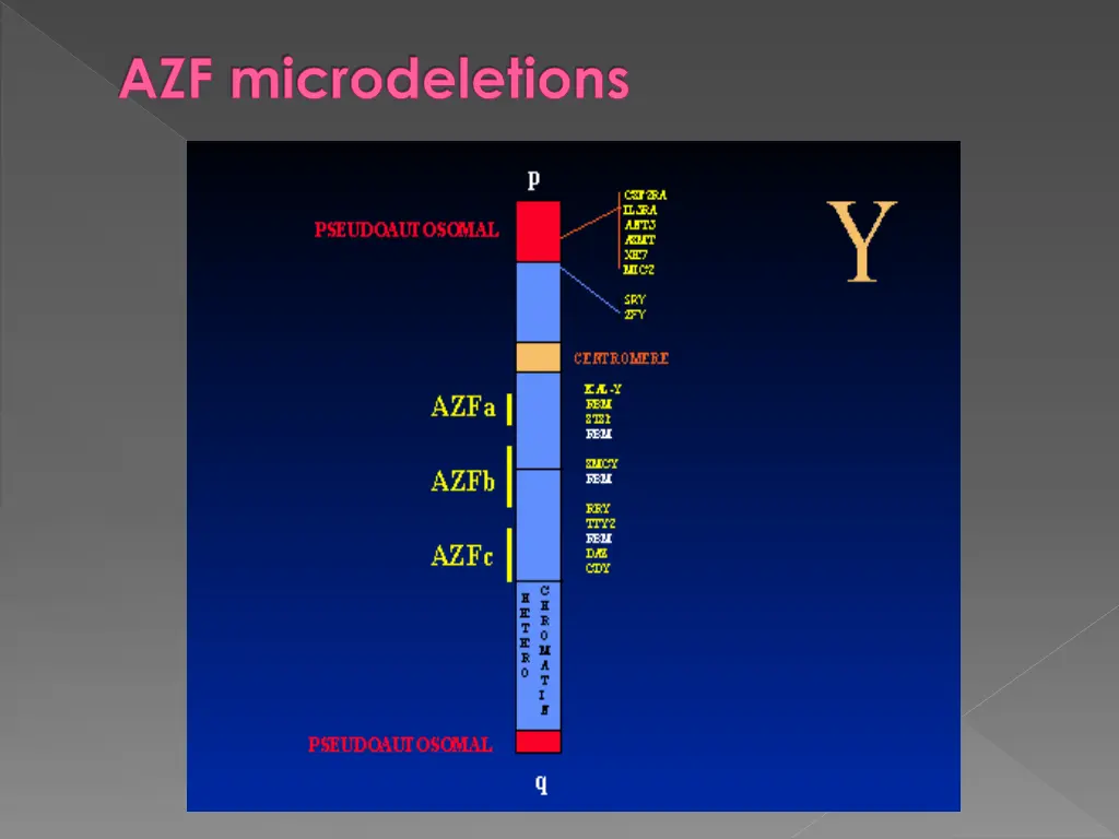azf microdeletions 1