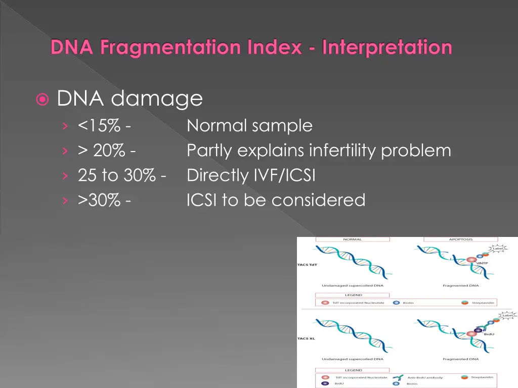 dna fragmentation index interpretation