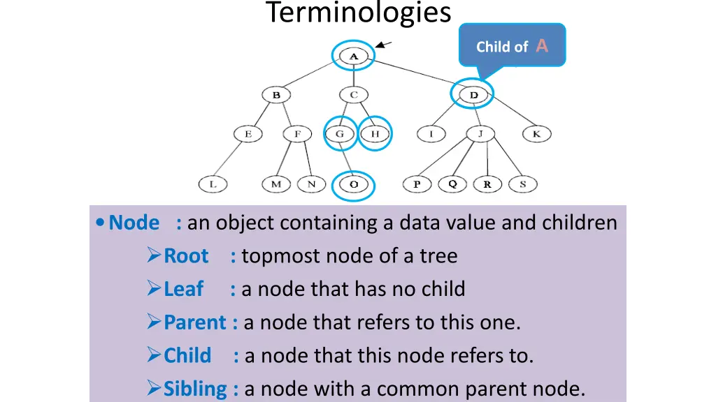 terminologies 1