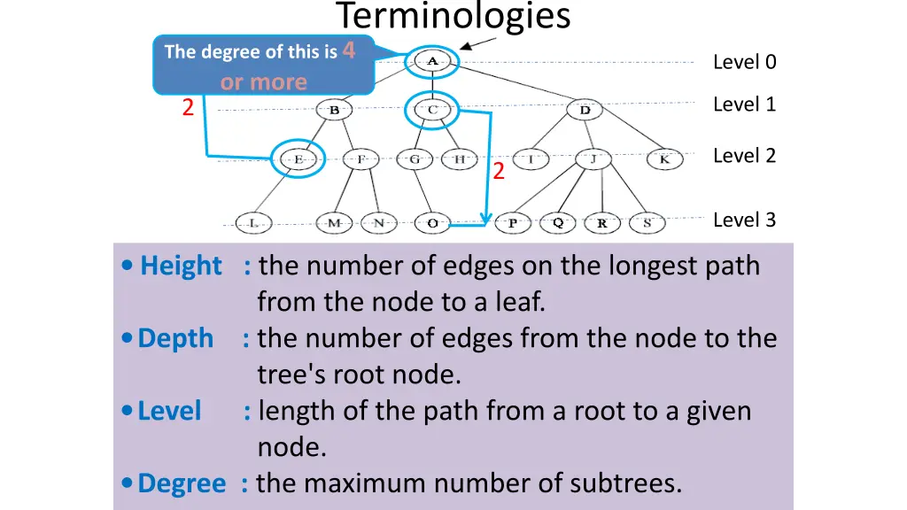 terminologies 3