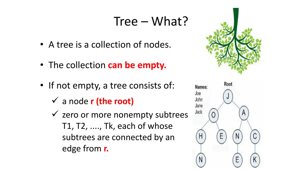 tree what 2