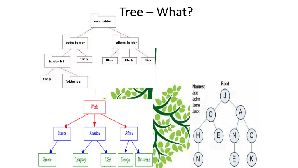 tree what