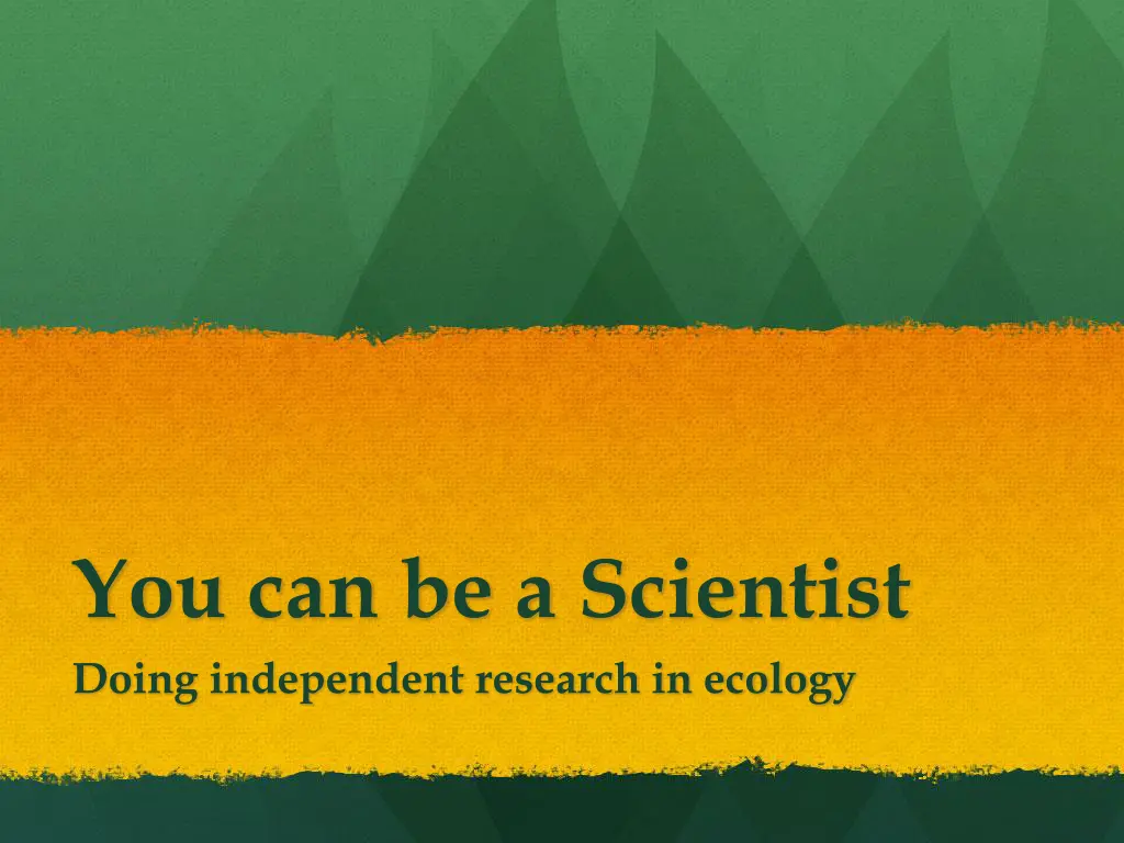 you can be a scientist doing independent research