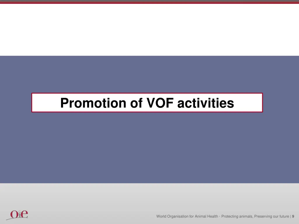 promotion of vof activities