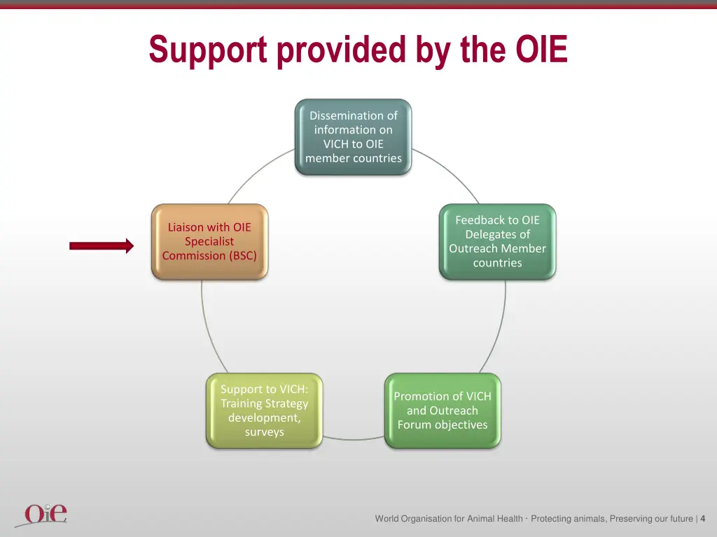 support provided by the oie