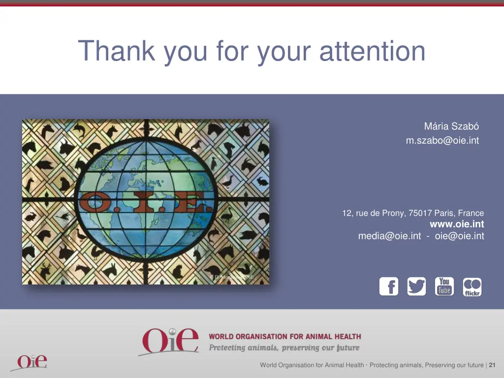 thank you for your attention