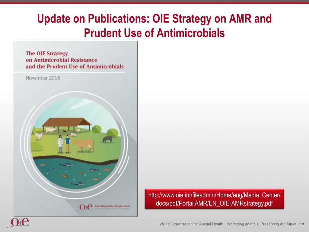 update on publications oie strategy
