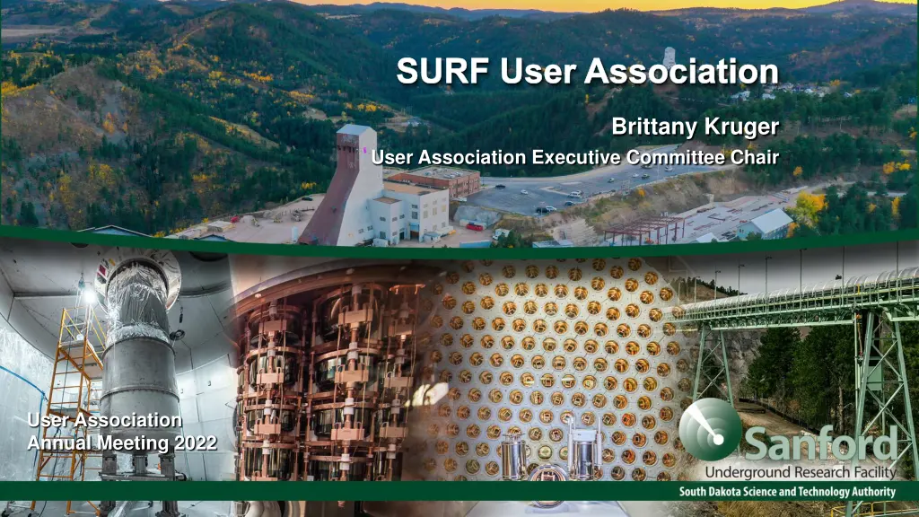 surf user association