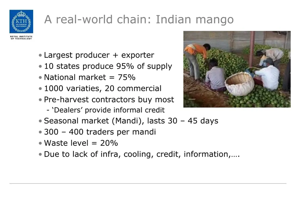 a real world chain indian mango