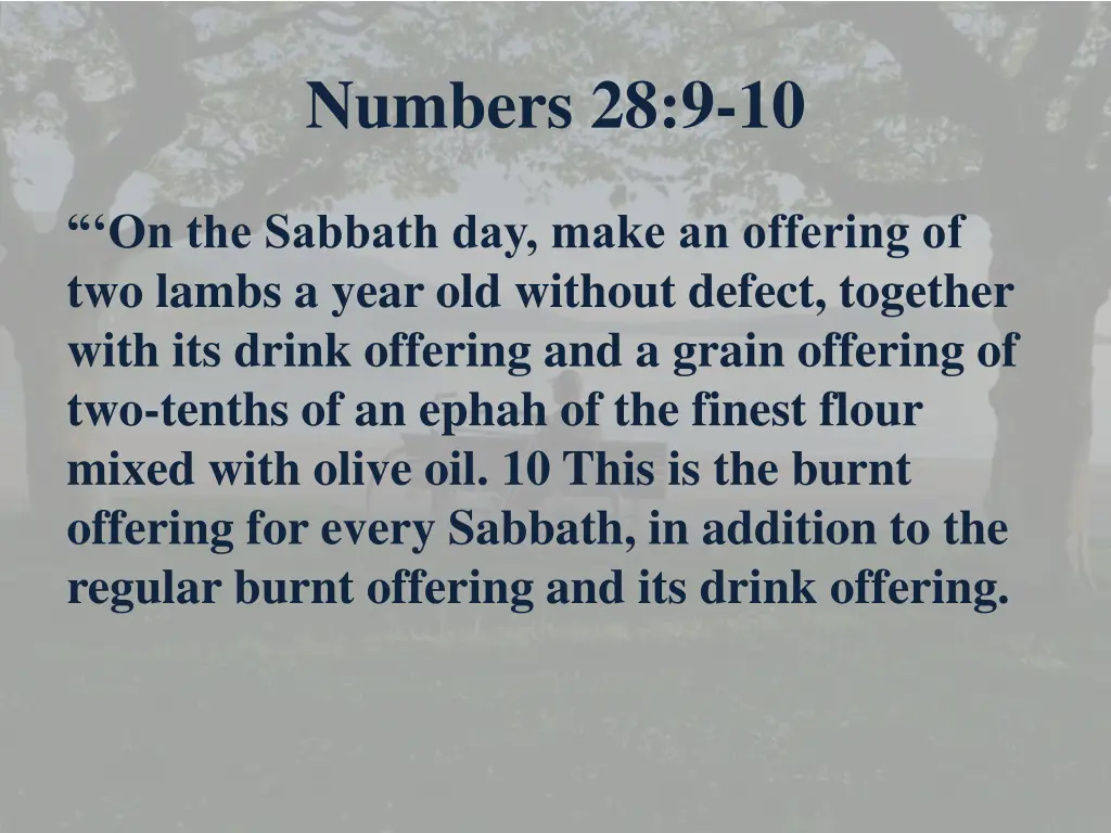 numbers 28 9 10