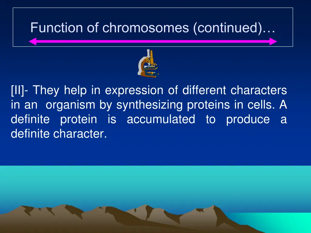 function of chromosomes continued