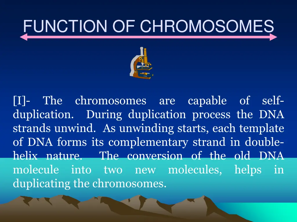 function of chromosomes function of chromosomes