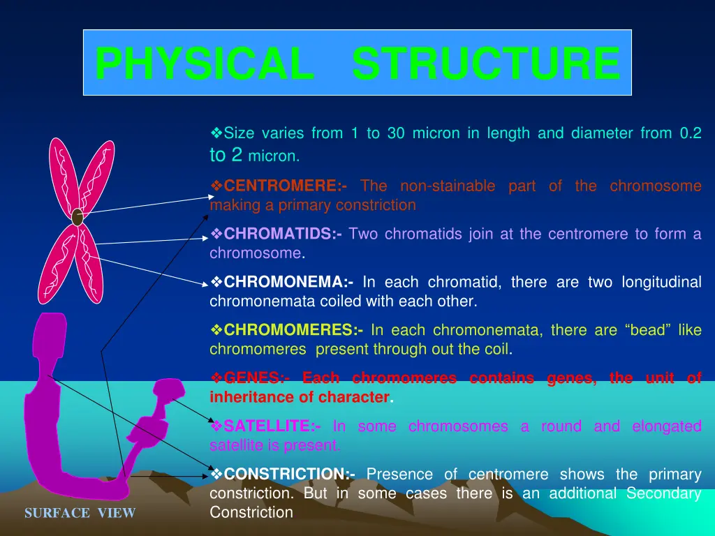 physical structure