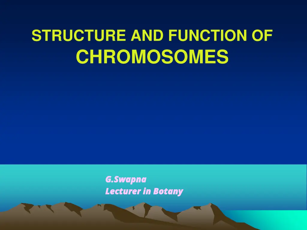 structure and function of chromosomes