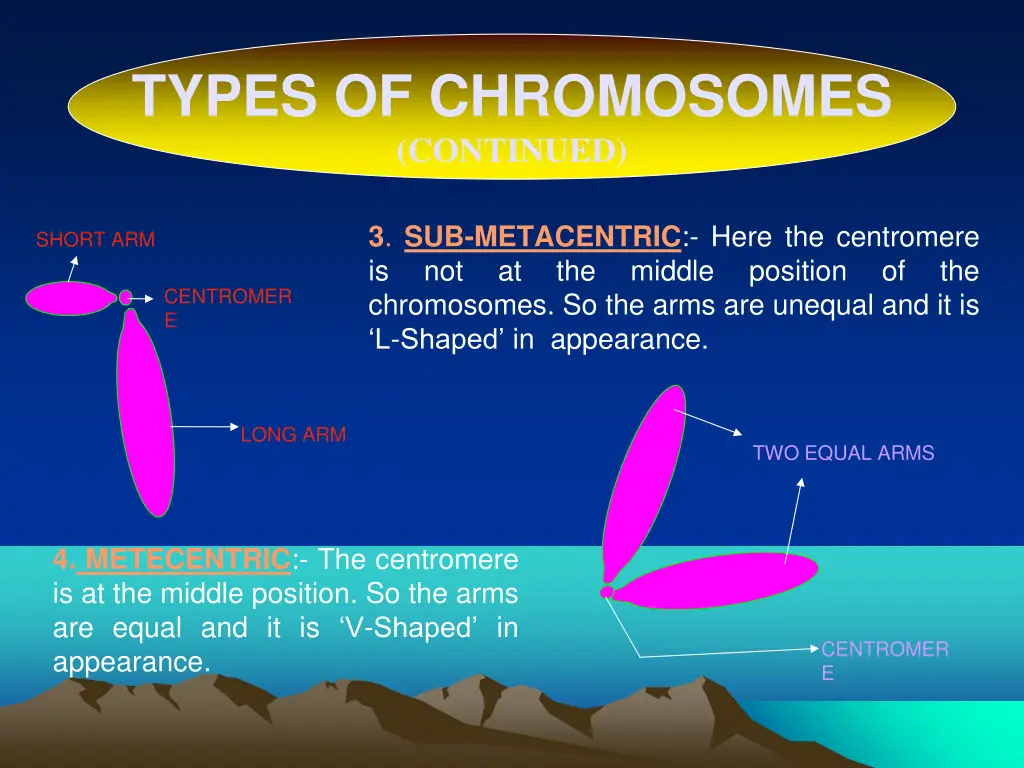 types of chromosomes continued