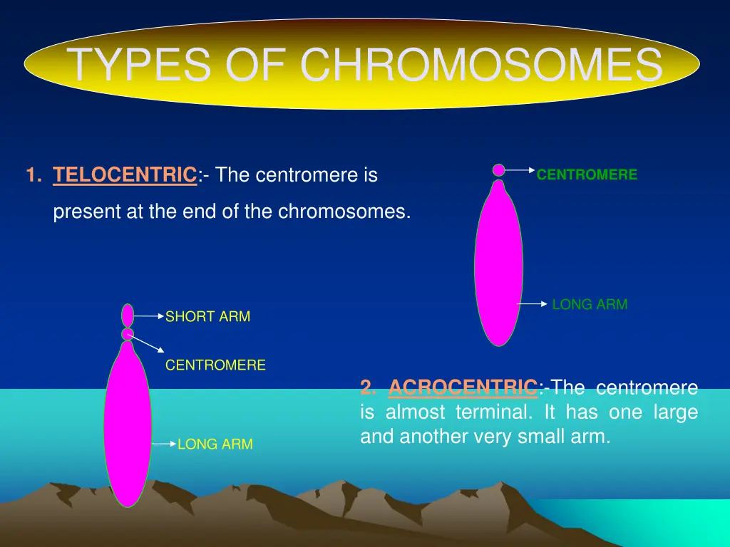 types of chromosomes