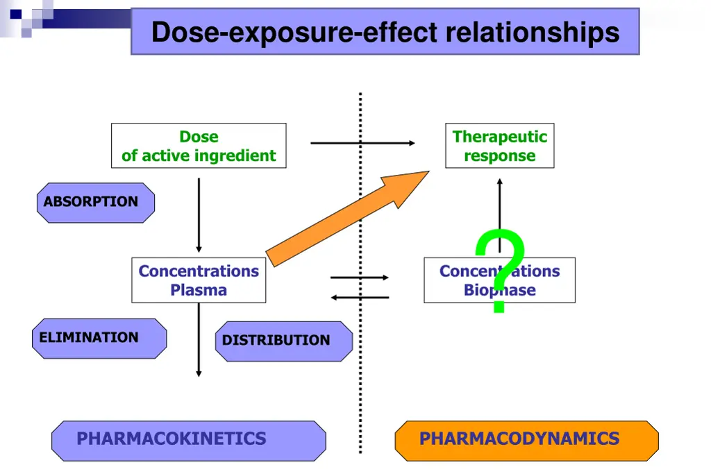 dose exposure effect relationships