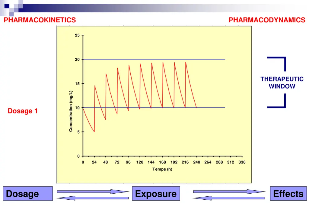 pharmacokinetics 2