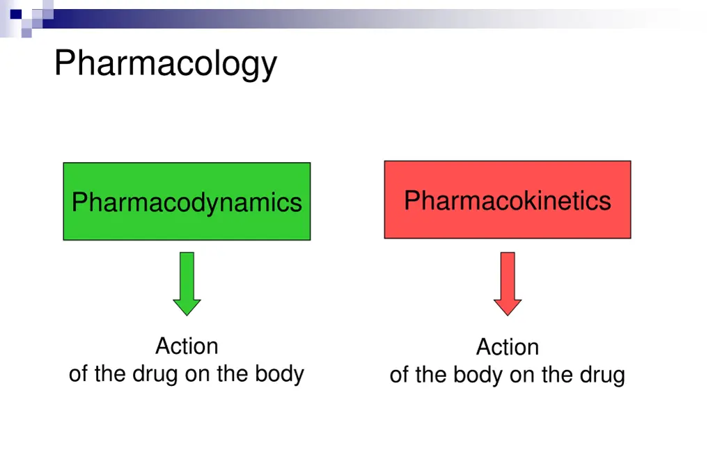 pharmacology 1