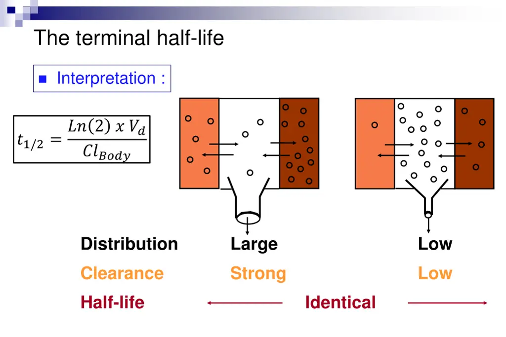the terminal half life 5