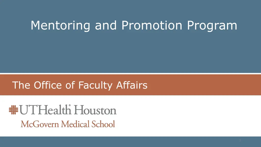 mentoring and promotion program