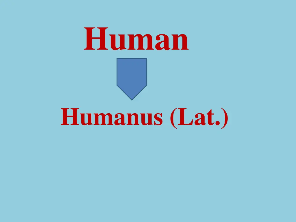 human