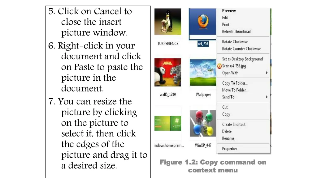 5 click on cancel to close the insert picture
