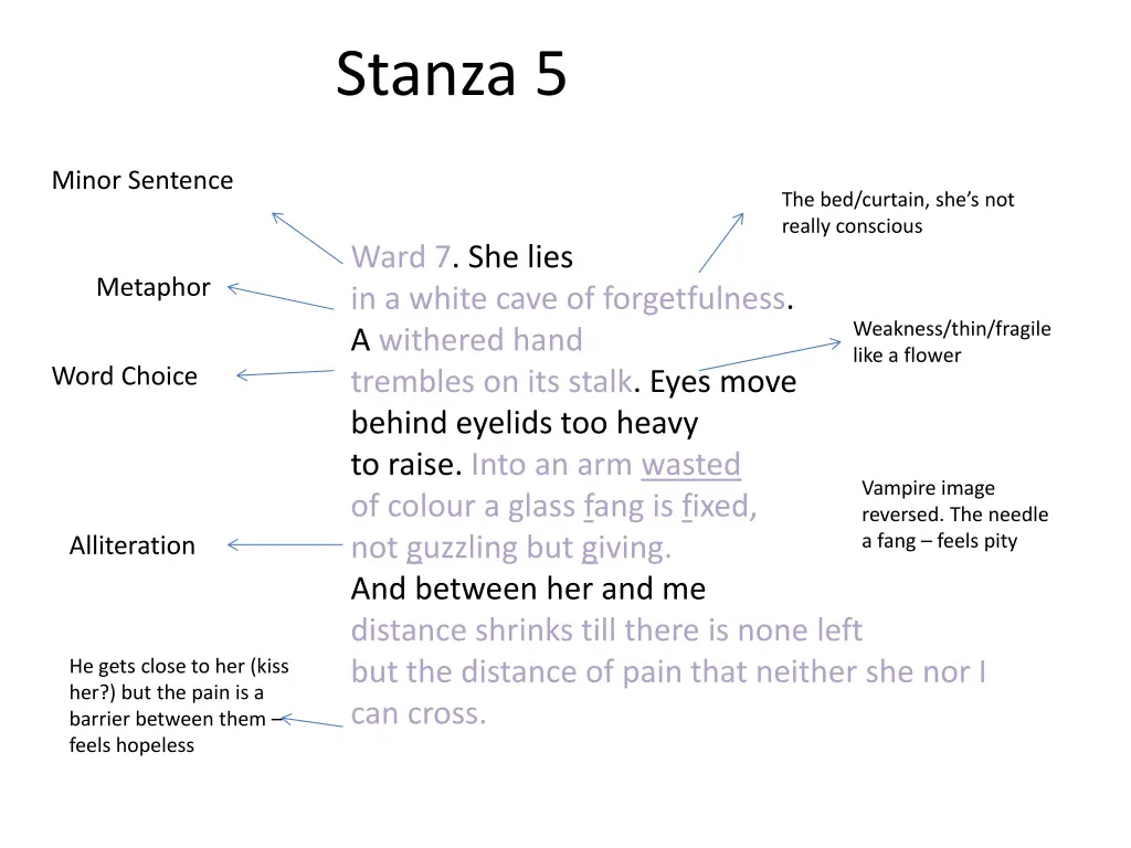 stanza 5
