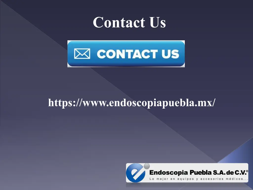 contact us