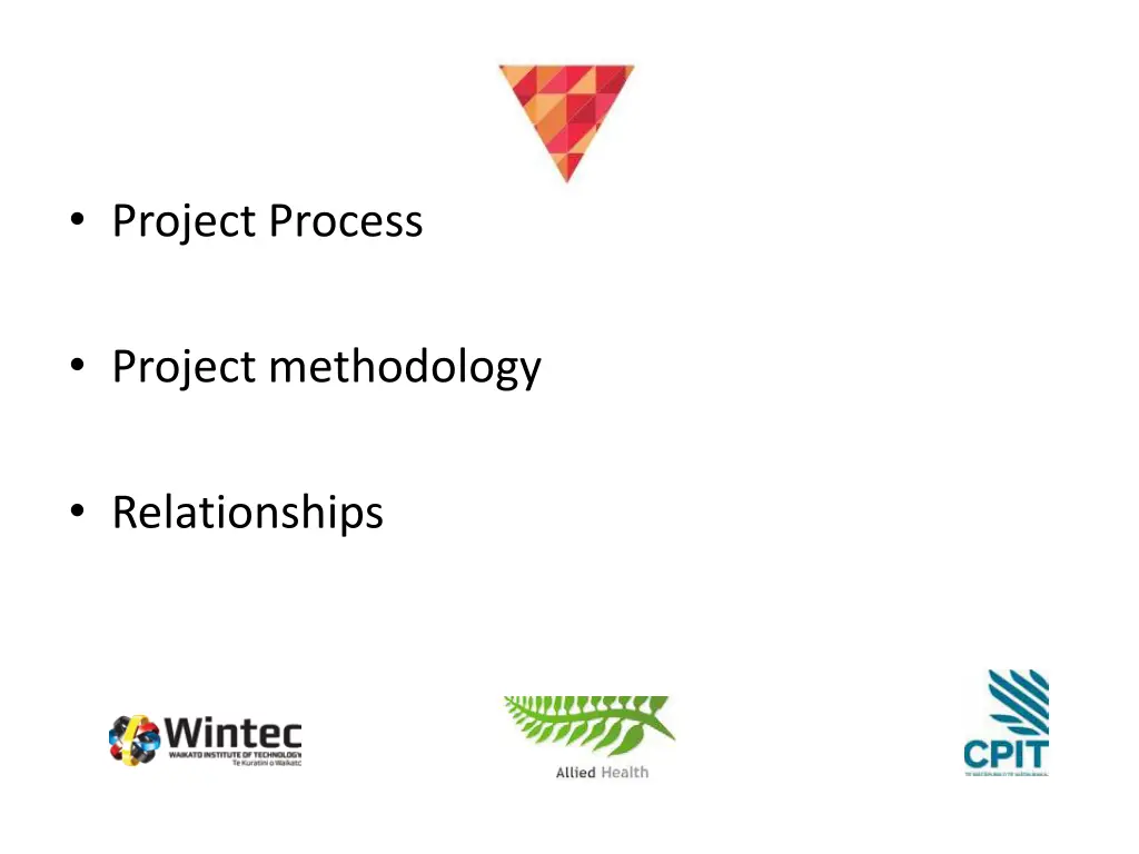 project process