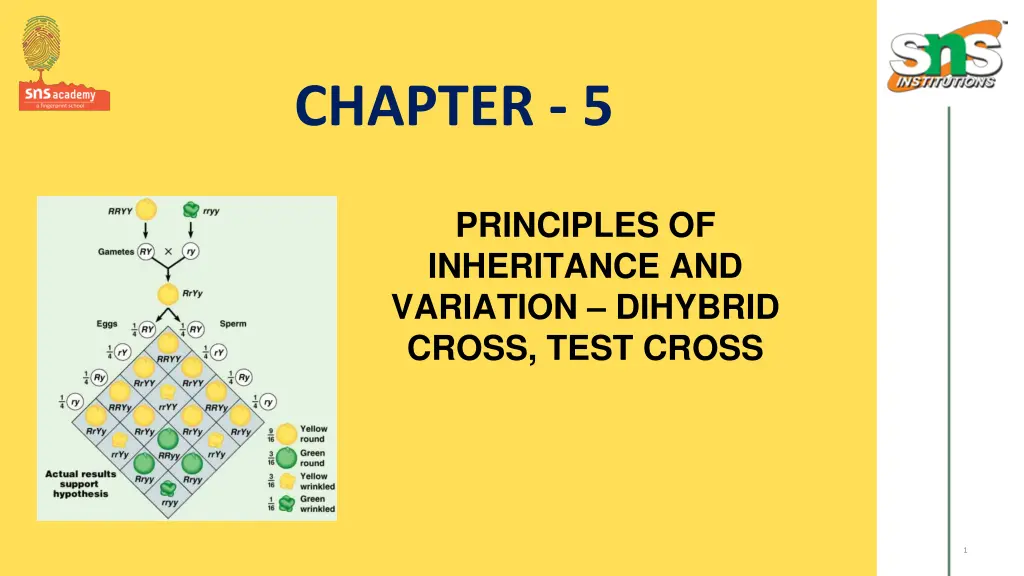 chapter 5