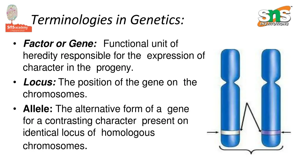 terminologies in genetics