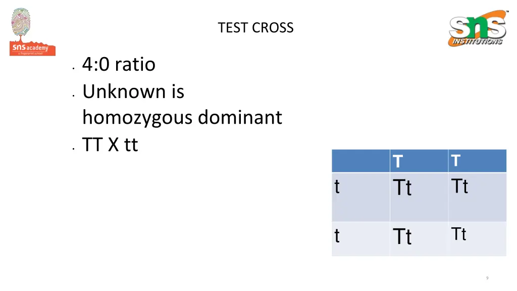 test cross 1