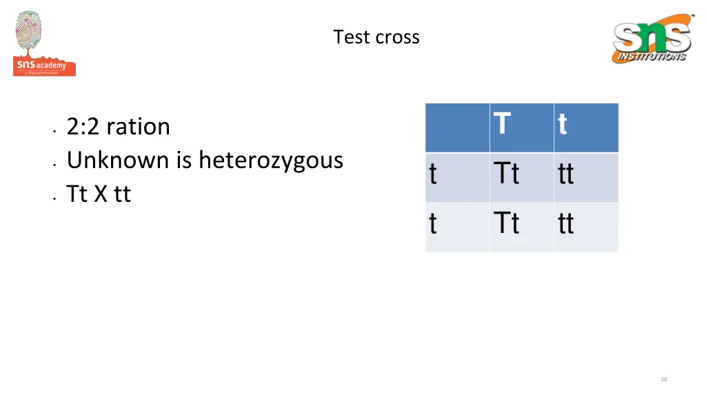test cross 2