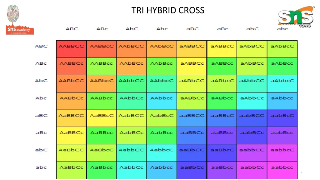 tri hybrid cross
