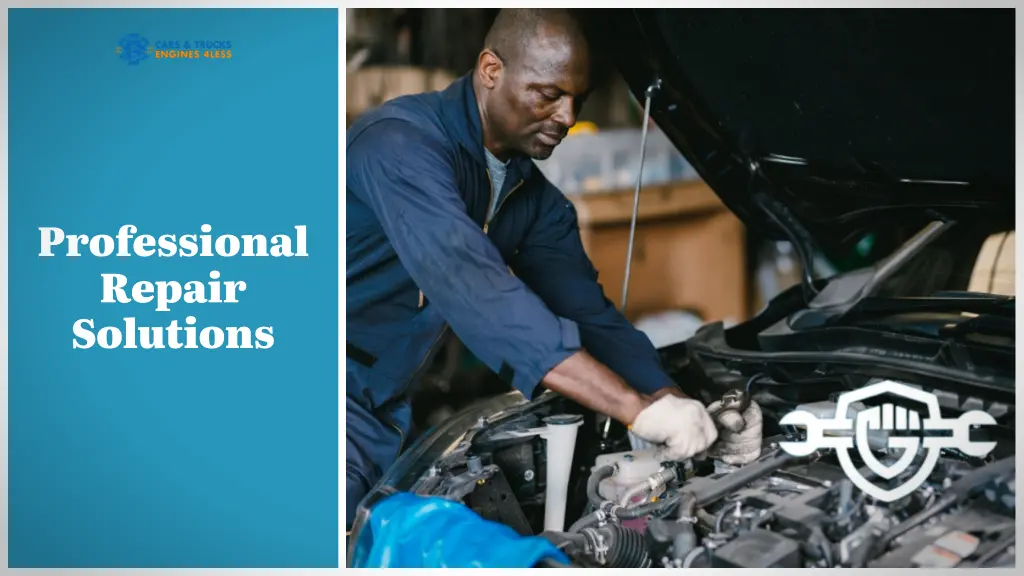 professional repair solutions