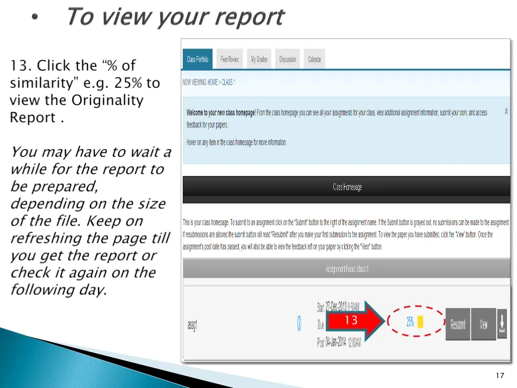 slide17