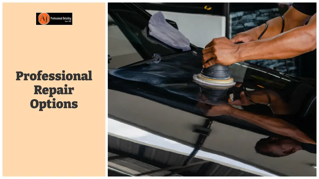professional repair options