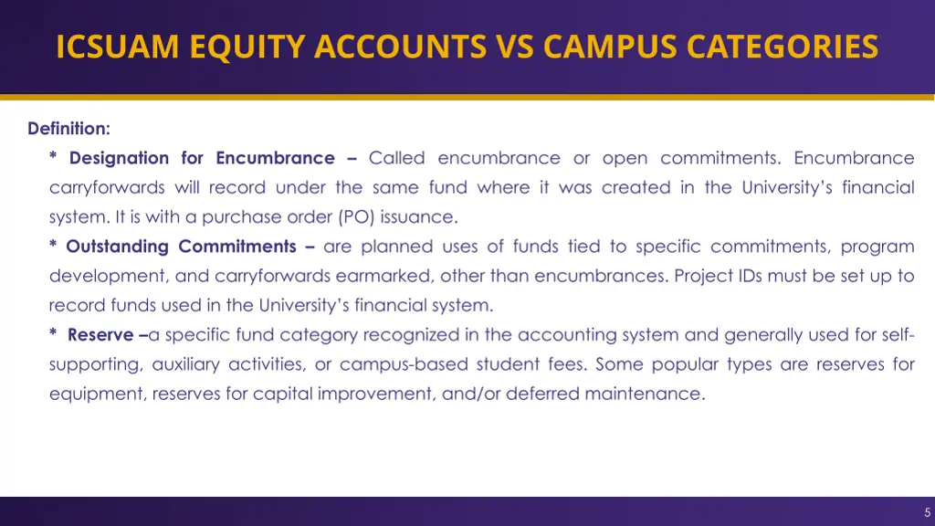 icsuam equity accounts vs campus categories