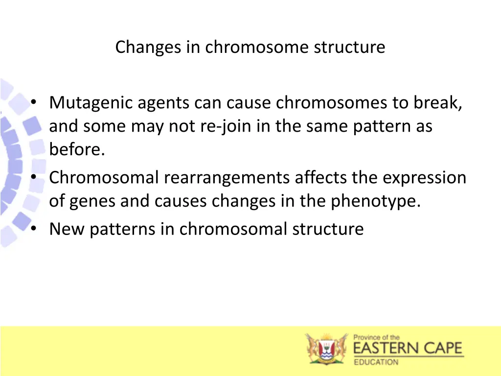 changes in chromosome structure