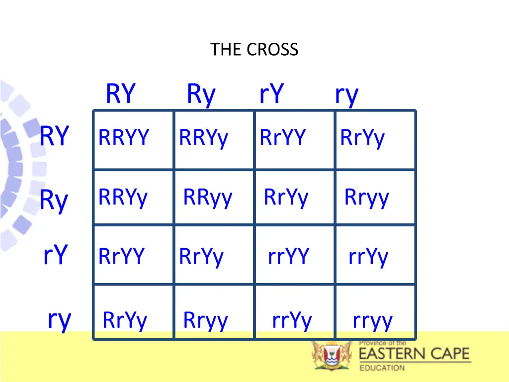 the cross