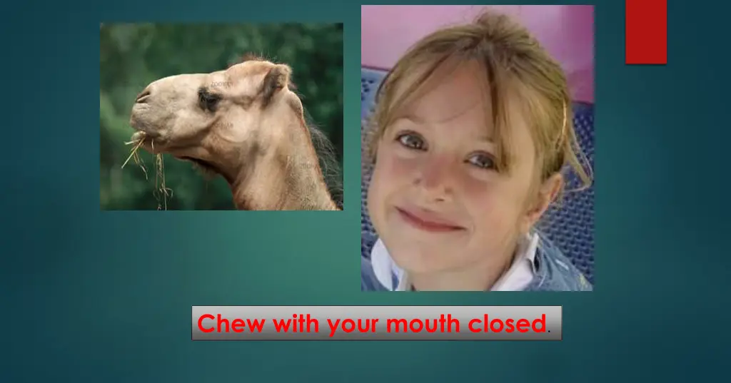 chew with your mouth closed