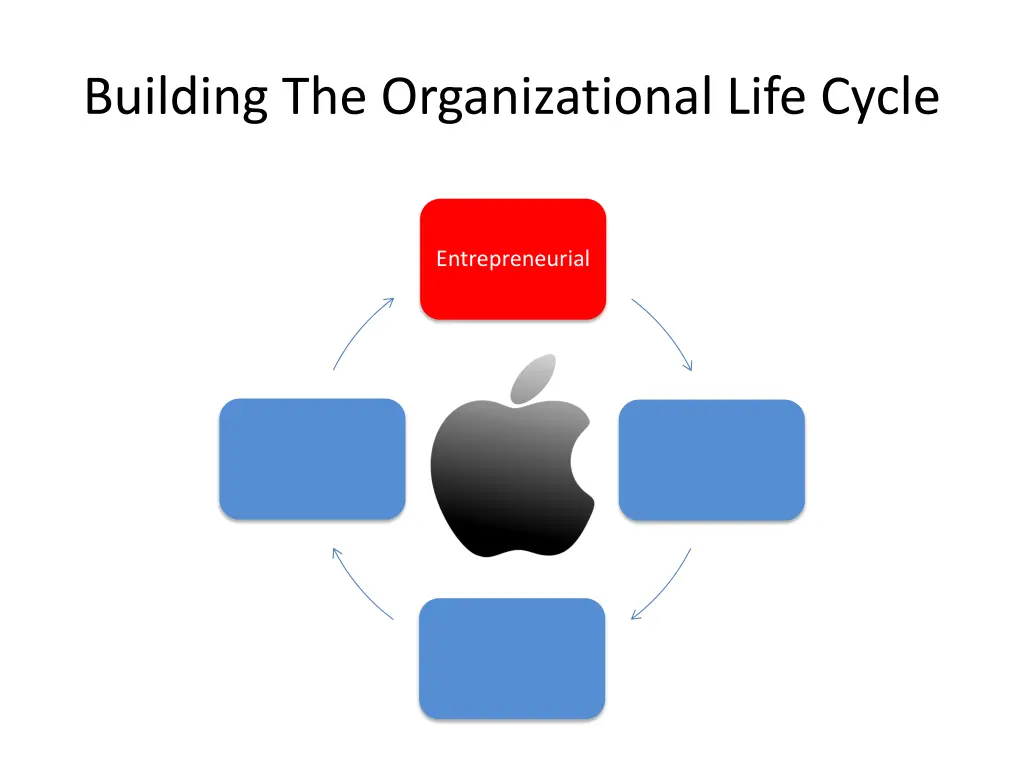building the organizational life cycle