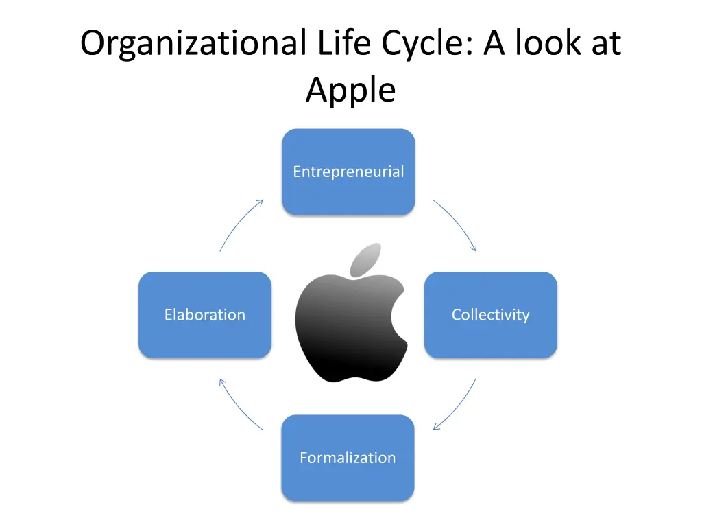 organizational life cycle a look at apple