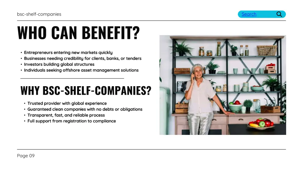 bsc shelf companies 7