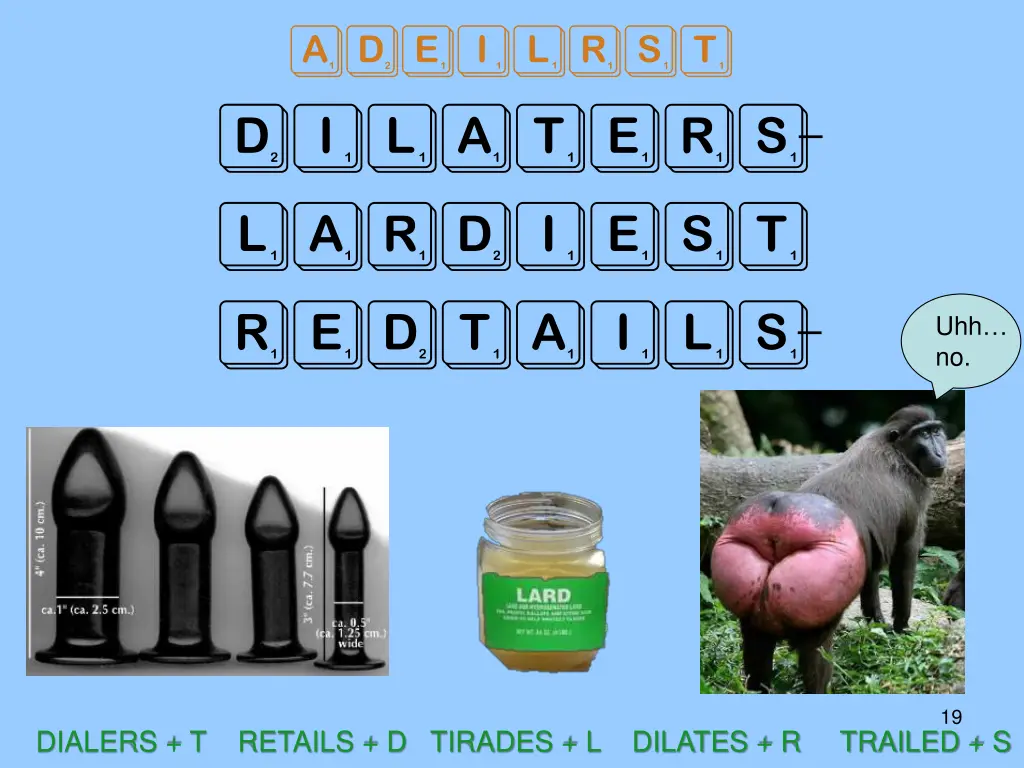 adeilrst dilaters lardiest redtails